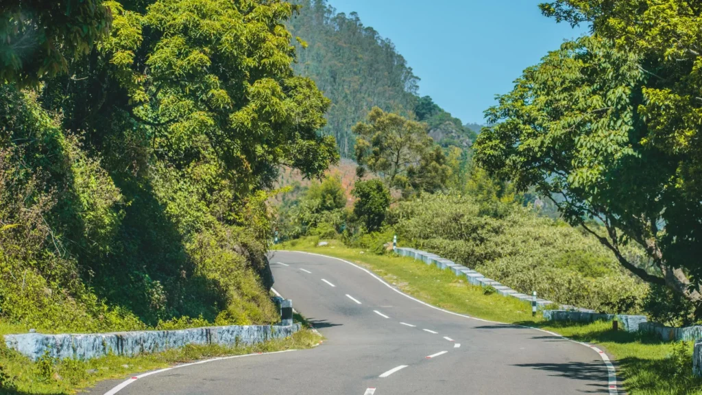 Wellness Retreats & Yoga in Coimbatore