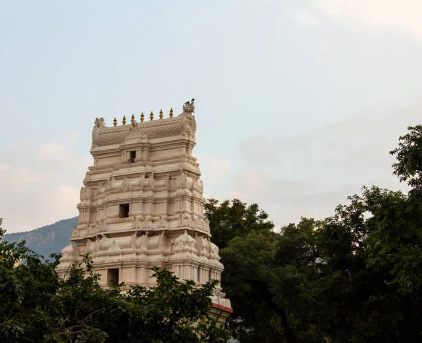 Trichy to Salem Road Trip
