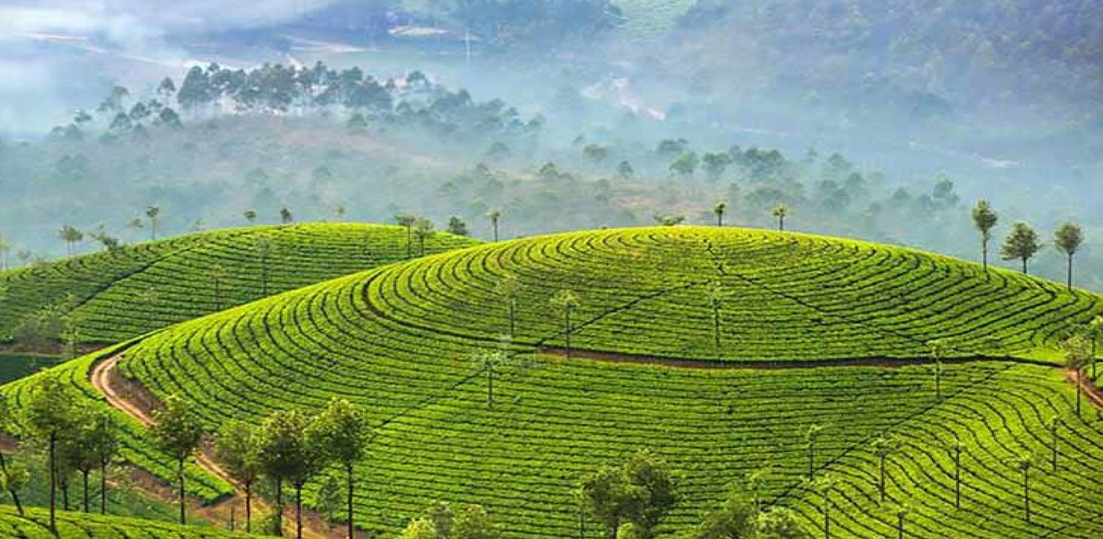 Munnar