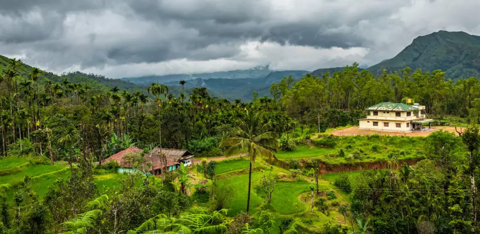 Vaalparai